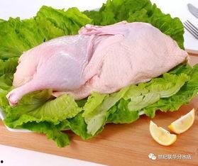 《鸭片》在线观看,揭秘网络迷雾中的悬疑奇案